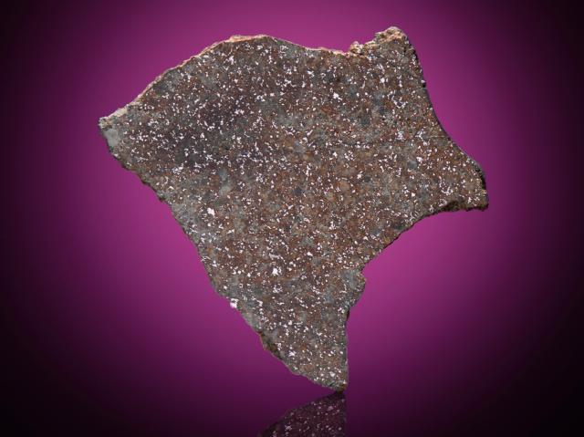 A slice of the Barbotan Meteorite that fell on July 24, 1790 in France.

Steve Jurvetson from Los Altos, USA, CC BY 2.0, via Wikimedia Commons or Flickr: https://flic.kr/p/2kFjV15