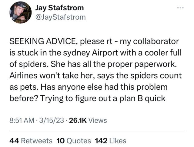 “SEEKING ADVICE, please rt - my collaborator is stuck in the sydney Airport with a cooler full of spiders. She has all the proper paperwork. Airlines won't take her, says the spiders count as pets. Has anyone else had this problem before? Trying to figure out a plan B quick”