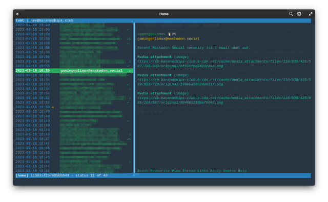 Screenshot of the above post in the terminal client toot, where the description-less image attachments show as links that tell you absolutely nothing about the contents.