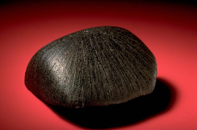 The Lafayette Martian Meteorite was mysteriously found in Purdue's collection in 1931.

SI National Museum of Natural History, CC0 via https://www.si.edu/object/lafayette-stone:nmnhmineralsciences_1370424