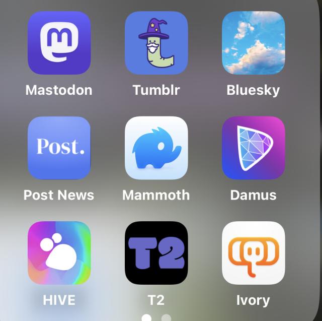Screenshot of way too many social apps