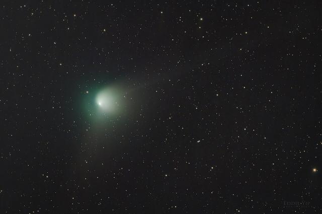 Comet C2022 E3 (ZTF) on January 29, 2023.

Eddie Yip, CC BY-SA 2.0, via Wikimedia Commons or Flickr: https://flic.kr/p/2ogFpGh