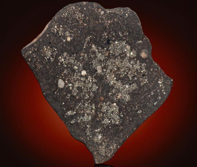 A slice of the Northwest Africa (NWA) 5717 Meteorite.

Steve Jurvetson from Los Altos, USA, CC BY 2.0, via Wikimedia Commons or Flickr: https://flic.kr/p/2kFTZ21