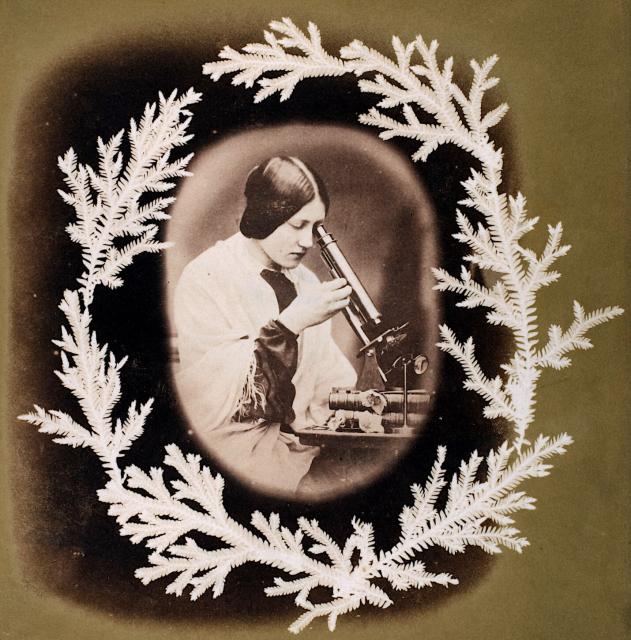 "Thereza Dillwyn Llewelyn with her Microscope," by John Dillwyn Llewelyn (~1854).

Met Museum, Public Domain via https://www.metmuseum.org/art/collection/search/263190

Color and cropping edits.