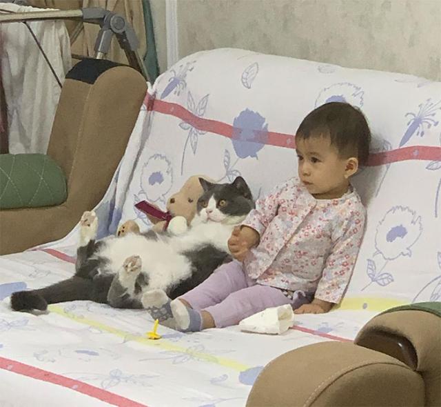 cat and kid