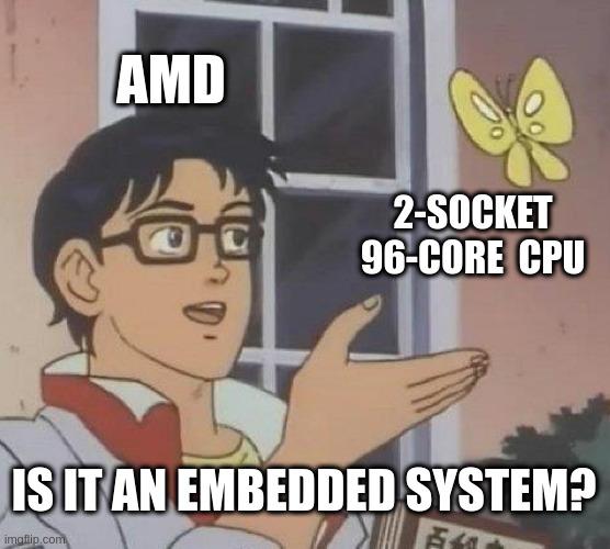 "Is it a pigeon?" meme. A student ("AMD") is holding an encyclopedia and looking at a bufferfly ("2-socket, 96-core CPU"), and says "Is it an embedded system?"