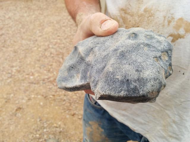 The Murrili Meteorite was found on November 27, 2015 after being observed to fall by the Australia Desert Fireball Network (DFN).

Rmhowie, CC BY-SA 4.0, via Wikimedia Commons.