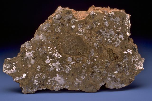 The Estherville Meteorite fell on May 10, 1879 in Iowa, USA.

SI National Museum of Natural History, CC0 via https://www.si.edu/object/estherville:nmnhmineralsciences_1033220

Color and cropping edits.