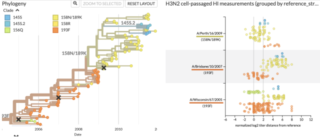 Nextstrain's measurements panel alongside the corresponding phylogenetic tree.