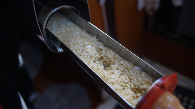 Vacuum tube tray with cooked brown rice.