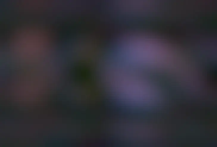 A star field is shown with ragged red clouds on the far left and a thin blue cloud with the outline similar to the head of a dolphin to the right.