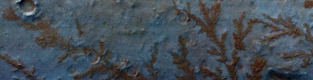 Branched Features on the Floor of Antoniadi Crater.

Mariagat Włodek Głażewski, CC BY-SA 4.0, via Wikimedia Commons.