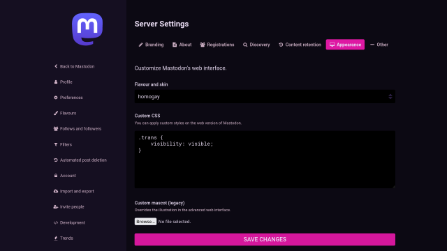 screenshot of the mastodon server settings page. under the "appearance" tab, there is a custom CSS rule setting the "visibility" attribute of every element with class "trans" to "visible".