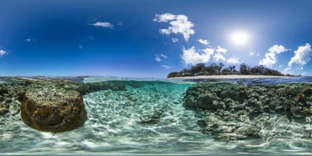 "An image of the coral reef near Lady Elliot Island, Great Barrier Reef, Australia; taken using the Seaview SVII camera."

© Underwater Earth / XL Catlin Seaview Survey / Aaron Spence, CC BY-SA 3.0, via Wikimedia Commons.