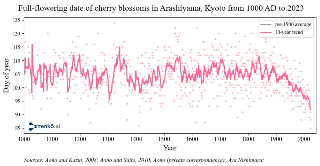 Plot of full-flowering date of cherry blossoms in Arashiyama, Kyoto, from 1000 AD to 2023.
Plot shows days oscillating around the 105th day,  from 1000 to 1900, then starts to decrease consistently and increasingly fast after 1900