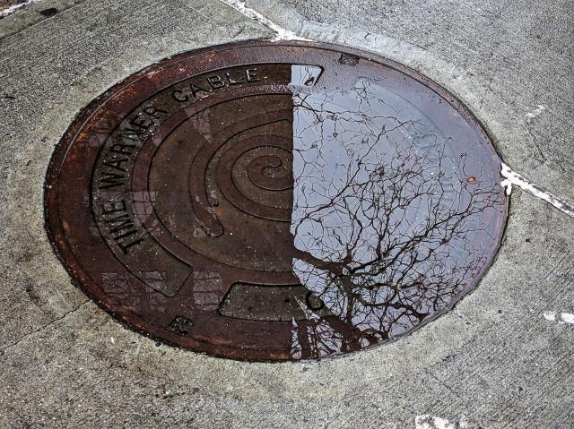 A dark brown metal manhole cover, oval from side perspective, is covered in water and reflecting trees. Also visible is the legend TIME WARNER CABLE inscribed on the left side. 