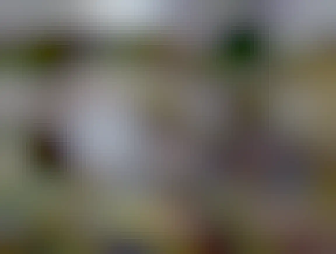 On the left hand bank of the burn with a couple of medium tree trunks, looking across the opposite bank with a small spinner on it to the wider North Tyne beyond.  Lots of sunshine dancing on the ripples where they meet. 