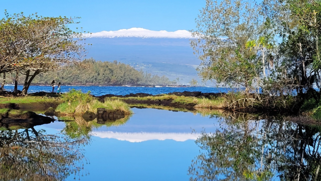 Snowcapped Mauna Kea on the big island reflected in the ice ponds near the ocean