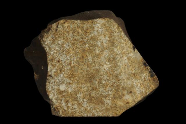 The Pevensey Meteorite was found in 1868 or 1869 in Australia.

Photographer: Rodney Start, Copyright Museums Victoria / CC BY (Licensed as Attribution 4.0 International)

https://collections.museumsvictoria.com.au/specimens/88