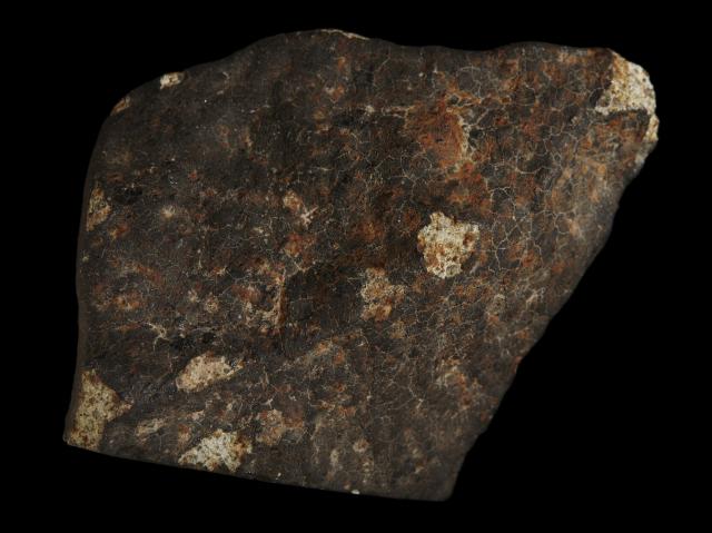 The Holbrook Meteorite fell on July 19, 1912 in Arizona, USA.

Photographer: Rodney Start, Copyright Museums Victoria / CC BY (Licensed as Attribution 4.0 International)

https://collections.museumsvictoria.com.au/specimens/247