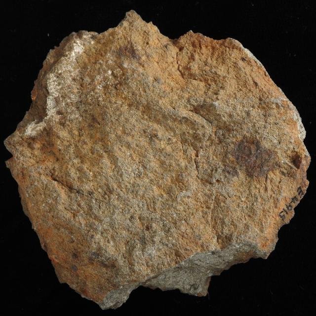 The Lake Labyrinth Meteorite was found in 1924 in Australia.

Photographer: Rodney Start, Copyright Museums Victoria / CC BY (Licensed as Attribution 4.0 International)

https://collections.museumsvictoria.com.au/specimens/139