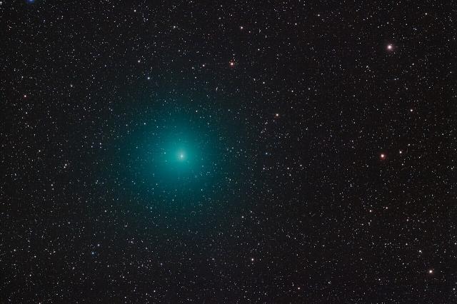 Comet 252P LINEAR closeup in Ophiucus on April 13, 2016.

gianni, CC BY-SA 2.0, via Wikimedia Commons or Flickr: https://flic.kr/p/G8V1h6