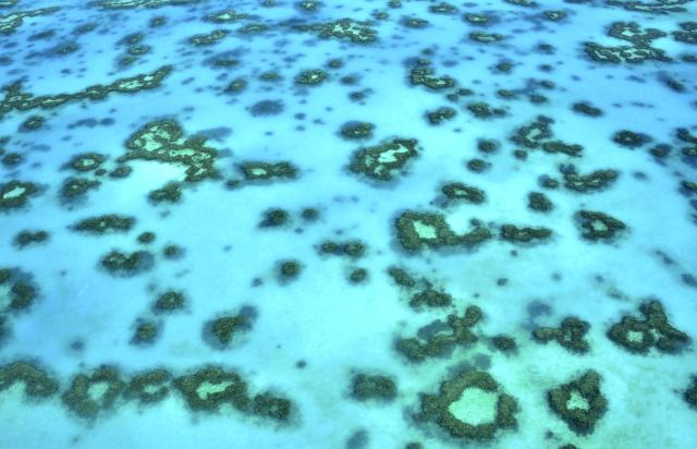 "Aerial view of the Great Barrier Reef, nearby the Capricorn Group, Queensland, Australia."

LBM1948, CC BY-SA 4.0, via Wikimedia Commons.