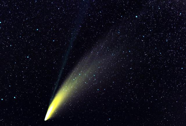 Comet 2020 F3 (NEOWISE) on July 17, 2020.

Juan lacruz, CC BY-SA 4.0, via Wikimedia Commons. Color edits.