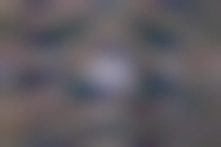 A bright star is seen in field of dimmer stars and pervasive light-brown dust. The star is the North Star: Polaris.