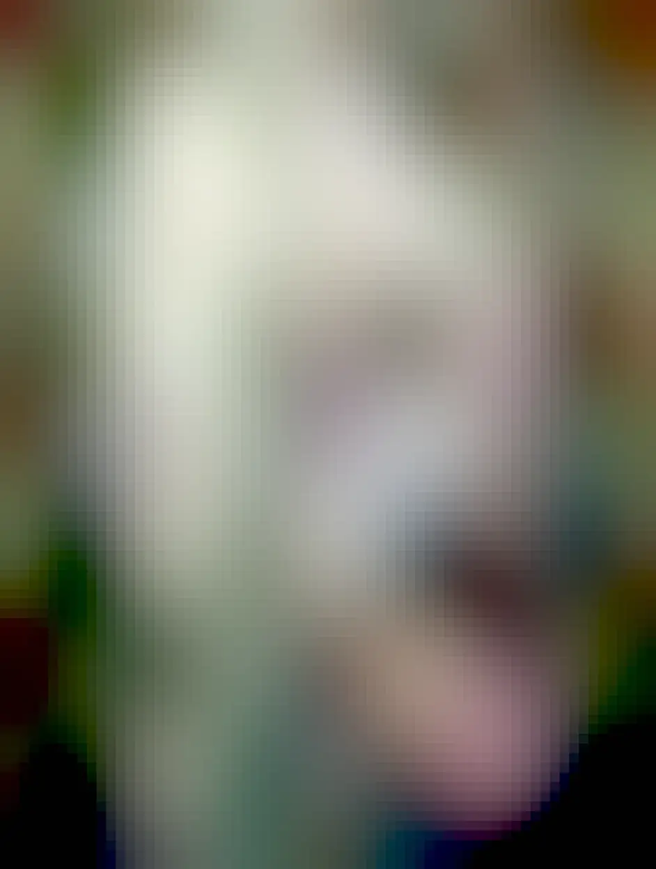 We see a very fluffy sheep arranged vertically, head closest to us, standing on ground consisting of grass and some muddy patches because apparently we haven't had enough rain yet. It's Panda! The grass is in perfect focus but the sheep is a bit blurry because apparently that's how the camera on this Huawei phone prefers it, despite my having taken north of 800 pictures of sheep on this phone. No evidence of any AI there then.

I am holding a Digestive biscuit in my hand, which holds one side of the disc. The other side of the disc is in Panda's mouth. This is the sacred morning ritual to which all sheep are entitled. When I am King I will decree that every sheep in the land receives this morning benediction.