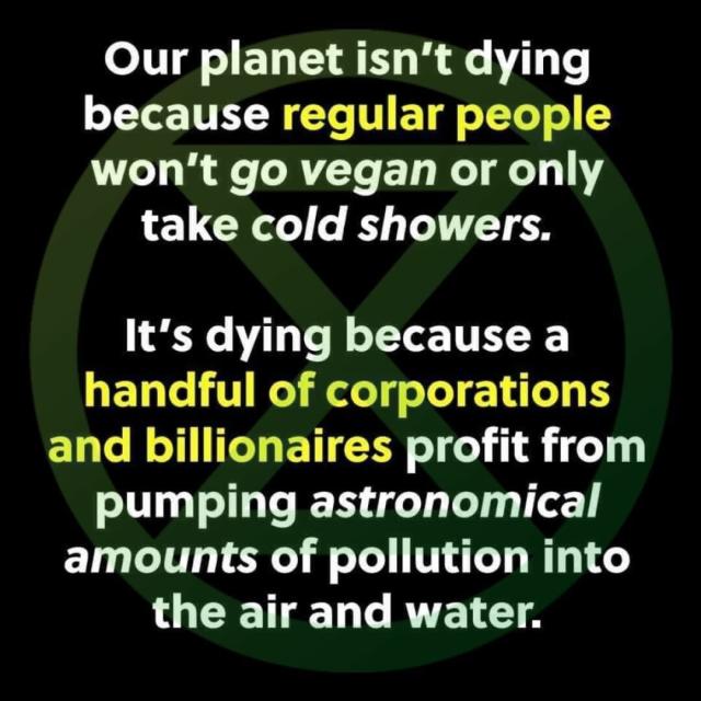 Large bold text over a background of the Extinction Rebellion logo.

TEXT SAYS:

Our planet isn't dying because regular people won’t go vegan or only take cold showers.

It's dying because a handful of corporations and billionaires profit from pumping astronomical amounts of pollution into the air and water. 