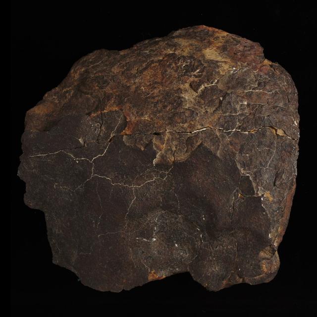 The Gilgoin Meteorite was found in 1889 in Australia.

Photographer: Rodney Start, Copyright Museums Victoria / CC BY (Licensed as Attribution 4.0 International)

https://collections.museumsvictoria.com.au/specimens/163