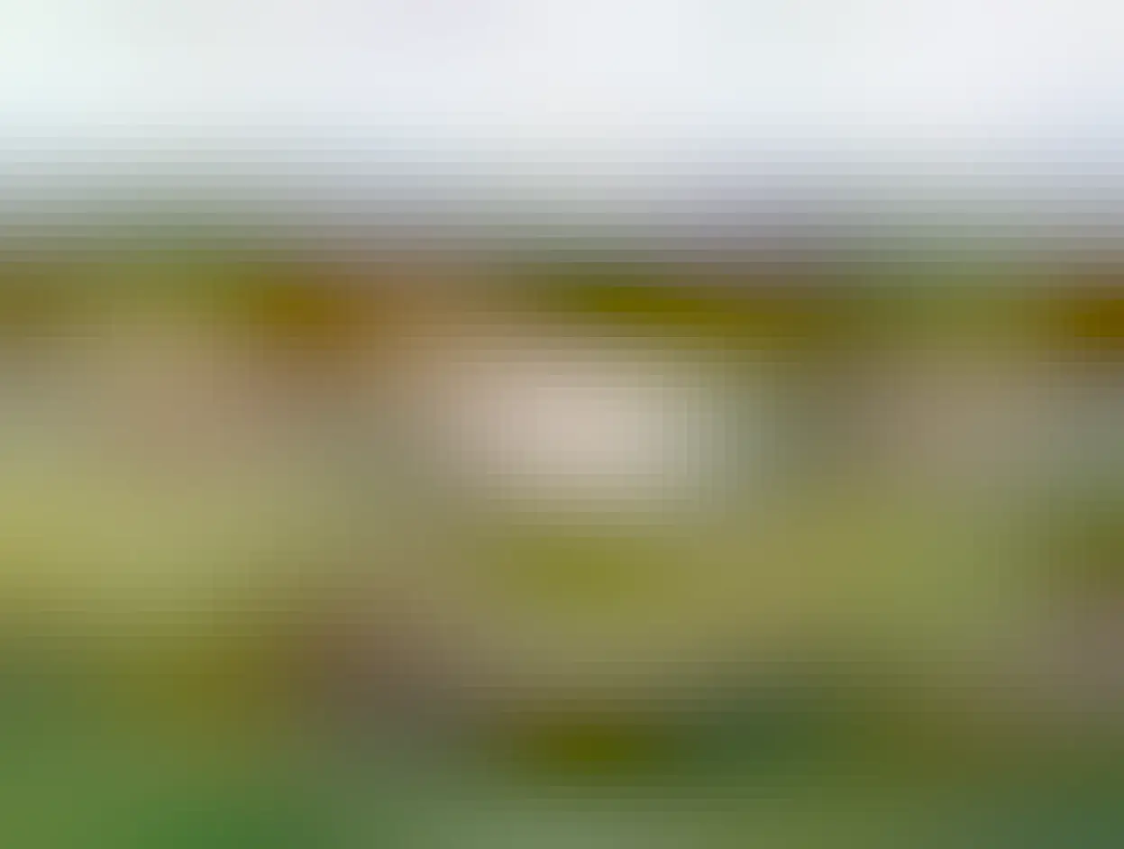 A sheep standing on a grassy knoll. 