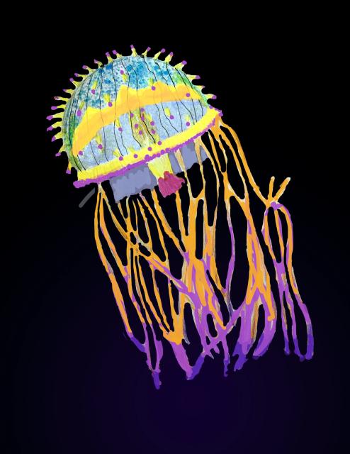 "An image depicting the bioluminescence of the Flowerhat Jelly."

Mkelly3856, CC BY-SA 4.0, via Wikimedia Commons. Color and cleanups.