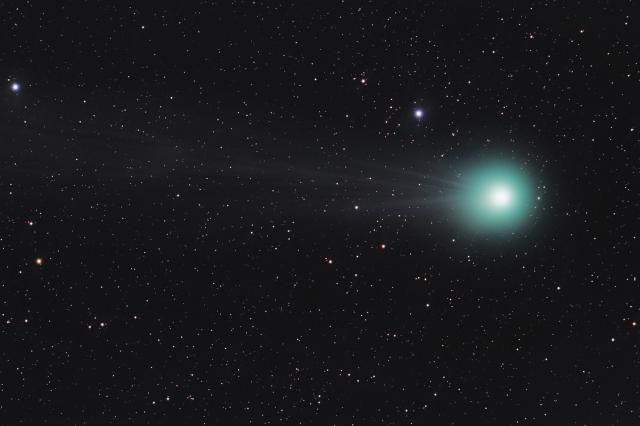 Comet C/2014 Q2 Lovejoy.

Joel Tonyan, CC BY-NC-ND 2.0 via Flickr: https://flic.kr/p/qzzXH4