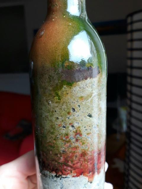 A Winogradsky Column (glass bottle filled with mud). Algae has turned the glass at the top orange and green. The top layer of the soil has a thick black stripe. Deeper the mud is specked with pockets of olive green and yellow. At the bottom there is a deep red layer.