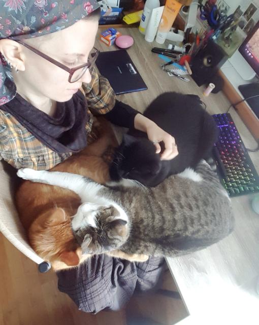 A selfie camera photo from above of three large cats doing their best to lounge on Sini's lap. The ginger tabby is the bottom most one, there's a brown and white tabby half on top of him, half on the desk. A black cat has just the very front paws on Sini's lap, the rest of him is loafing on the desk. There is a keyboard and assorted desktop faff in the background. Sini's face is in the frame, she is looking down at the cats.