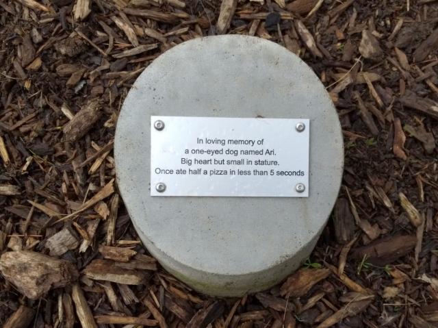 A small metal plaque on a low concrete post reads "In loving memory of a one-eyed dog named Ari. Big heart but small in stature. Once ate half a pizza in less than 5 seconds."