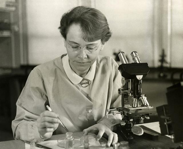 Barbara McClintock in her laboratory. Credit: Smithsonian, public domain