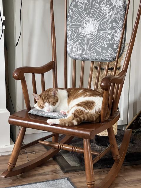 Orange and white cat asleep on a wooden rocking chair.
