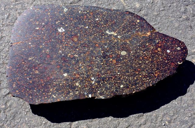 A large slice of the Northwest Africa (NWA) 12675 Meteorite.

Steve Jurvetson, CC BY 2.0 via Flickr: https://flic.kr/p/2kFfjSe