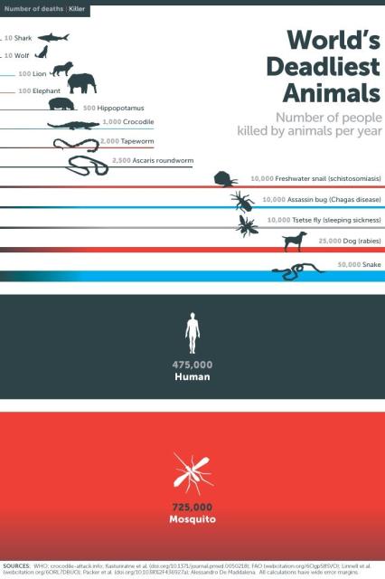 Chart comparing the world's deadliest animals. The number of people killed by each animal included per year. Source with references: https://www.gatesnotes.com/Most-Lethal-Animal-Mosquito-Week