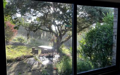 The view outside my window. Photo credit: Roberto Kolter