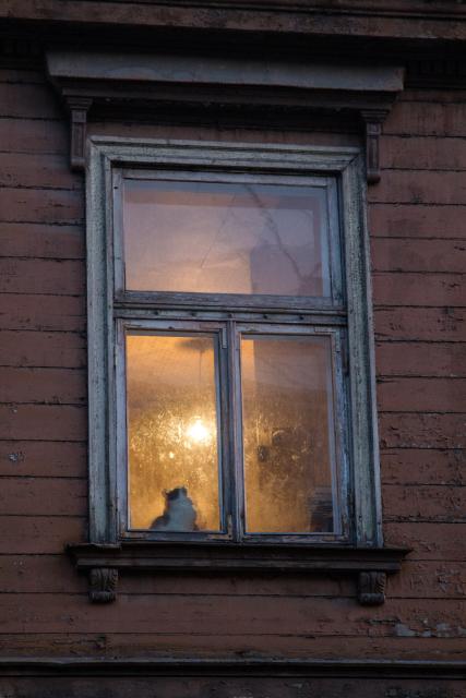 A wood-framed window in a wooden house. The wall of the house is made of dark brown wooden boards, and the window frame is painted gray. The panes of glass in the window are difficult to see through, perhaps blurred by condensation. It is possible to make out part of the room beyond the window, lit yellow by a dangling incandescent bulb. A black-and-white cat sits on the sill just inside the window, looking up.