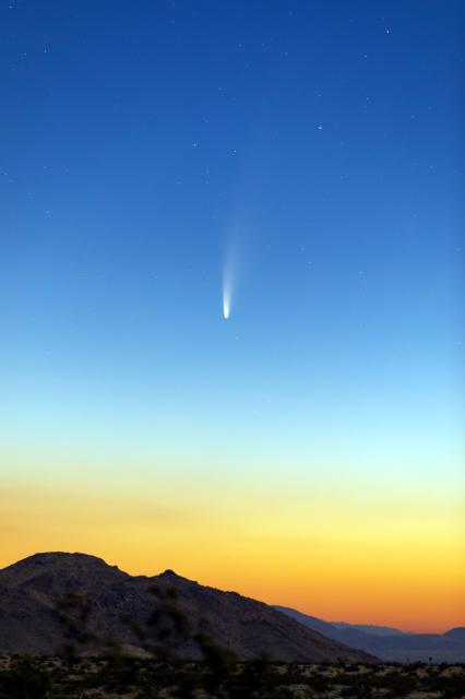 "Comet C/2020 F3 (NEOWISE) on July 7, 2020."

Dbot3000, CC BY-SA 4.0, via Wikimedia Commons. Color edits.