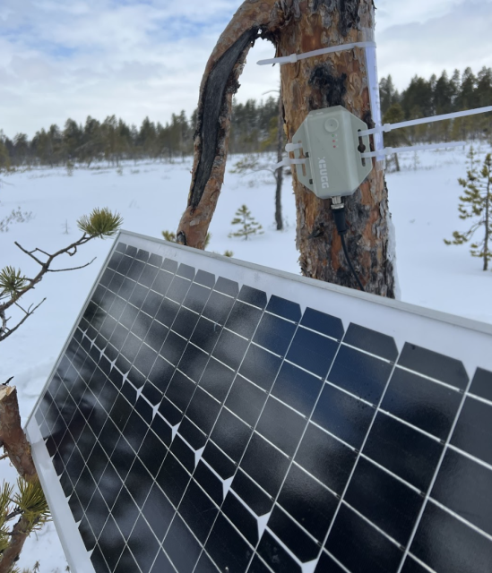 Big solar panel against a tree in a snowy landscape. A weather-proof box with a Raspberry Pi inside is cable tied to the tree