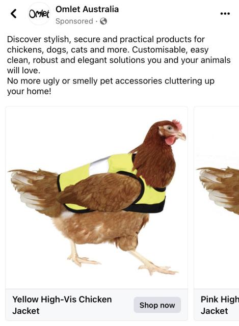 A chicken wearing a reflective jacket in an advertisement.