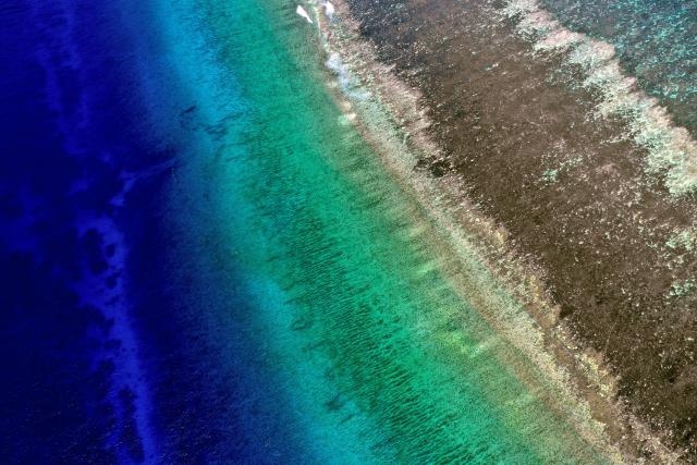 "Dongsha Atoll National Park."

WEY, CC BY-SA 4.0, via Wikimedia Commons. Touch ups.