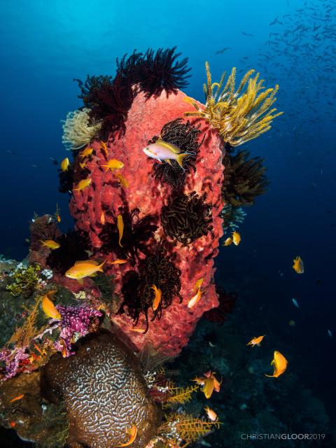 "Life."

Christian Gloor, CC BY 2.0 via Flickr: https://flic.kr/p/2hybKAB