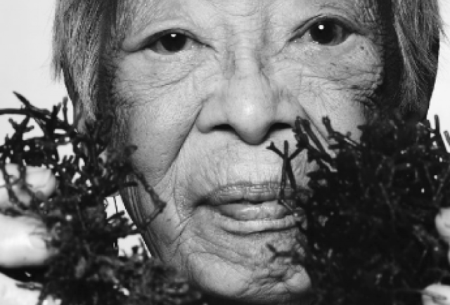 Isabella Aiona Abbott. Source: https://woc.aises.org/content/isabella-aiona-abbott-becoming-“first-lady-limu”